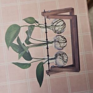 Glass Terrarium Set with Wooden Stand
